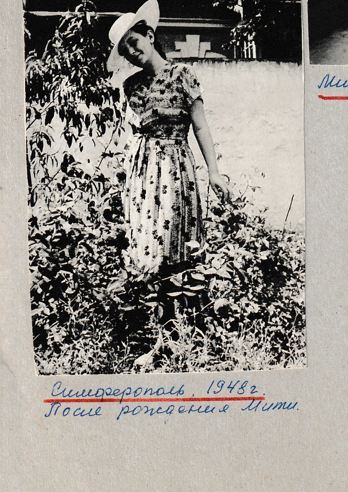 Люблино / Яблонная, июль 1953 (подпись на листе).